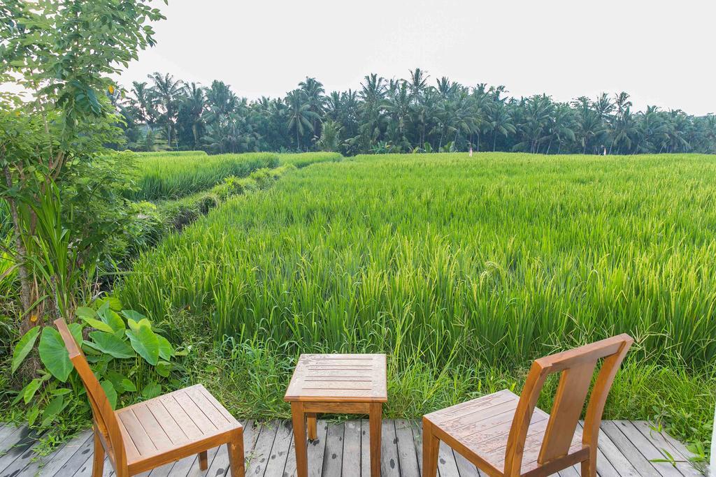Solo Villas & Retreat Убуд Екстер'єр фото