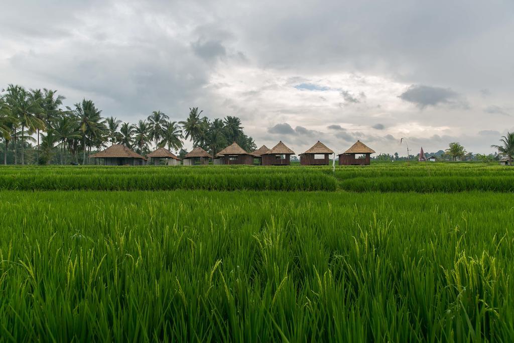 Solo Villas & Retreat Убуд Екстер'єр фото